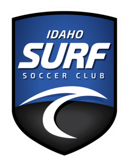 ID Surf U11 Boys Academy crest