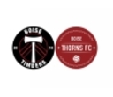 Boise Timbers Elite B2016/17 One crest