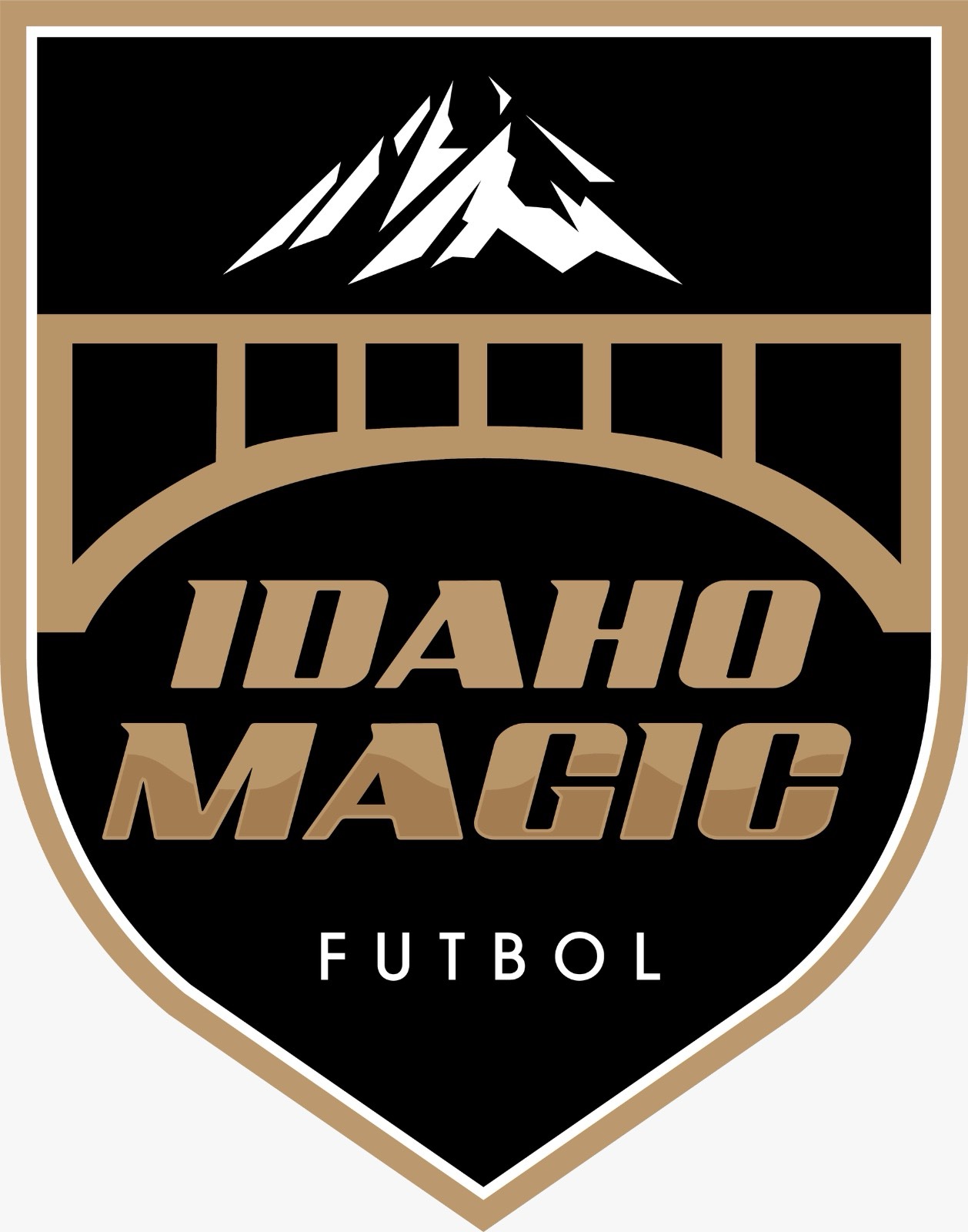 Idaho Magic U11B crest